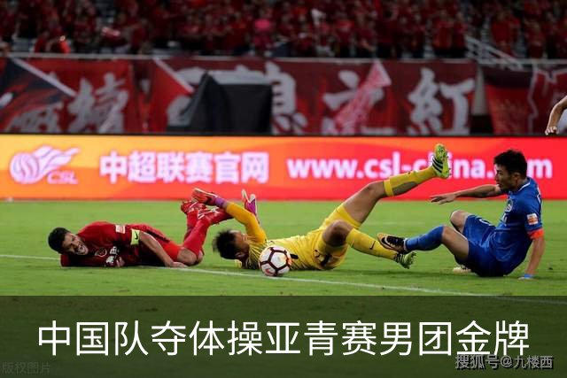 中国队夺体操亚青赛男团金牌