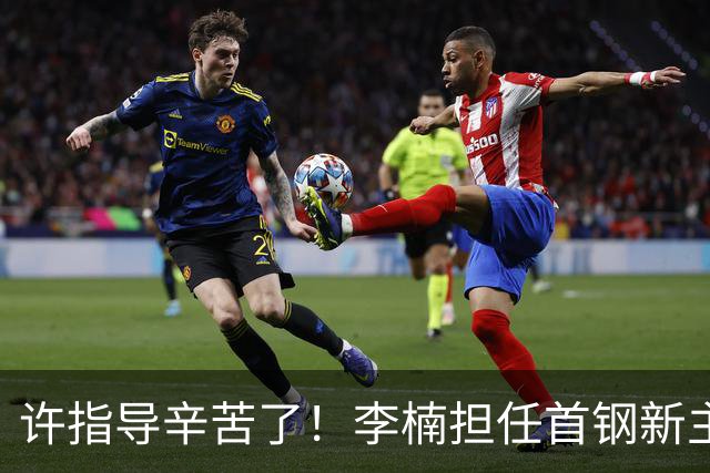 许指导辛苦了！李楠担任首钢新主帅 赵睿态度非争冠唯一障碍